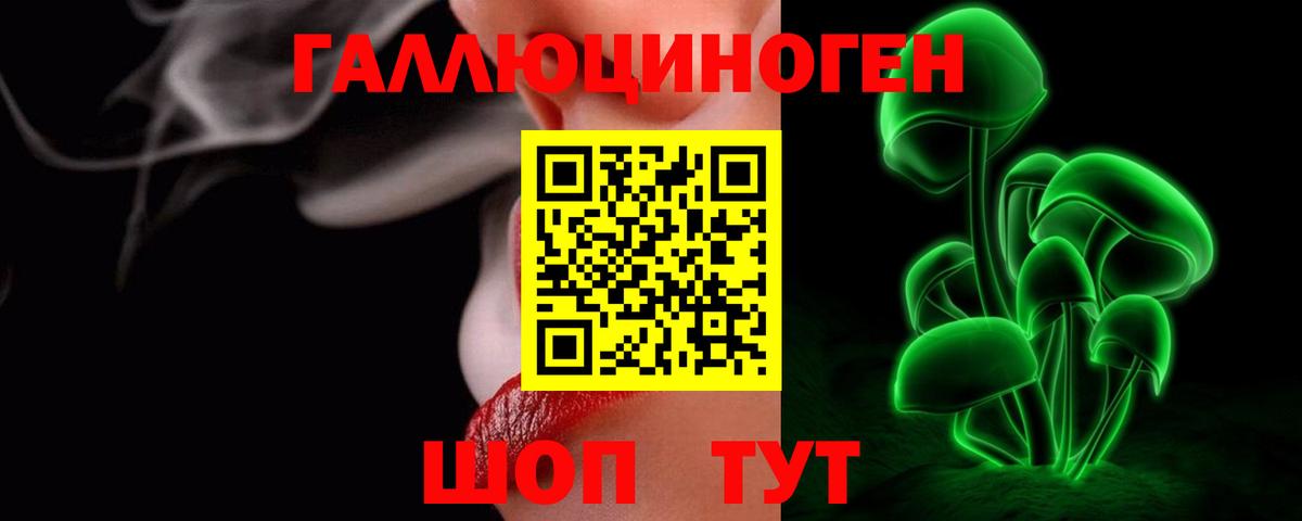 Лесосибирск  продажа наркотиков  Вход с VPN  Псилоцибиновые грибы Psilocybe 